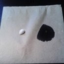 CW-0904-01 이미지