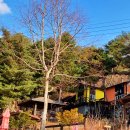 농업회사법인(주)태기산아침의새소리
