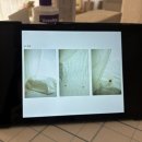 지혜네 | 대구백일촬영 북구 스튜디오 슬기롭고지혜롭게 후기