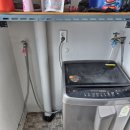 산호세탁 이미지