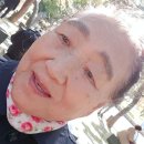 지오국수