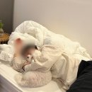 제주 하얀집 | 제주도 함덕 반려견 동반 5인 숙소 추천 제주하얀집 에어비엔비
