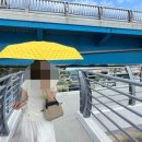 영진사 - 중구 | 영진사
