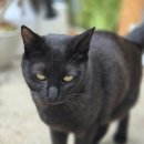 도야동물병원 이미지