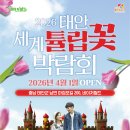 튤립 - 중구 청계천로 400 | 튤립