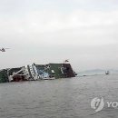 진도공인중개사사무소 이미지