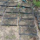 도원2농장 이미지