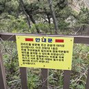 관리도캠핑장 이미지