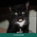 금촌종합동물병원