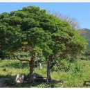 농산민박 이미지