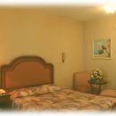 밀레사우나 이미지