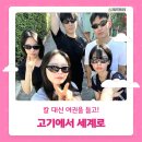 연수축산 | 경기청년사다리프로그램 해외연수 합격 후기 (이천시, 호주)