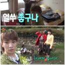 키노래방 이미지