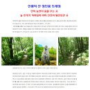 [테마]190610-12 울릉도 관광.독도 탐방.성인봉 트래킹 (2박3일) 이미지