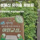 솔솔솔 다람쥐숲 유아숲체험원 이미지