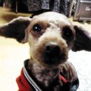 만남의광장휴게소 이미지