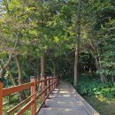 여수미평산림욕장 유아숲체험원 이미지