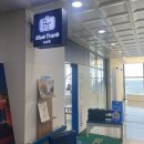 비앙코블루 | 시흥 거북섬 오션뷰 베이커리카페 블루트렁크 후기
