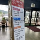 강화덕진정육 | [솔직 맛집 후기 #113] 강화도 / 활장어 강화수산 직판장