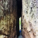 2024 전라도 천년의 춤 | 전라도 여행지 추천 3곳 | 전주 한옥마을, 순천만, 여수 향일암 직접 다녀온 후기