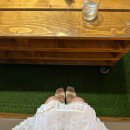 하루포차 | 도봉산역] 도심 속 당일치기 캠핑 데이트⛺ 카페 '유영정원' + 바베큐 '산속포차' 알찬 하루 코스 후기