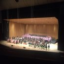 행복나무 이미지