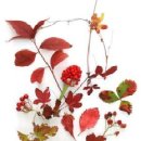 한양21공인중개사사무소 이미지