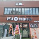 천계닭한마리