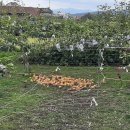 농소운동장 이미지