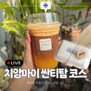 BOB CAFE | 치앙마이 싼티탐 아침식사 오전 여행 코스 추천 2곳