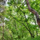 증산-014 이미지