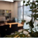 퀸즈부동산중개사무소 이미지