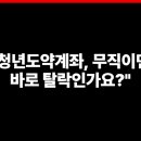 도약 티스토리