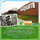 서천해양캠핑장 이미지