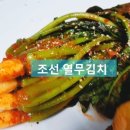 하하공주몰
