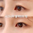 신사 가로수길 바이솜 강남 눈 시림 없는 맞춤형 강남속눈썹펌 솔직 후기