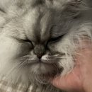 신반포로45길 71 | Aug 2022, Back to 👩🏻‍💻