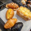 소금새 | 남양주시 진접읍 맛집 소금빵이 맛있는 달빛새 베이커리앤카페 솔직후기