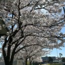 세븐일레븐 남원동충센터점 이미지