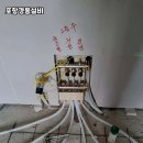 포항패킹
