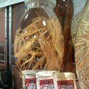 수삼랜드 이미지