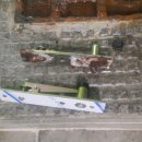 황금목욕탕 이미지