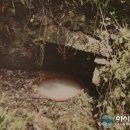 주천면 호경마을 이미지