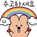 꽃을 담다 라임