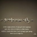 기부투월드 | 2026. 1. 17. 토. 천경자 작고 10주기 특별기획전: 내 슬픈 전설의 101페이지 후기 in 석파정 서울미술관
