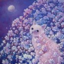 코코넨네 이미지