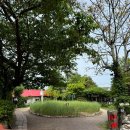 공설주차장하 | [김해 장유 카페] 카페모하 : 사장님께 길거리 캐스팅(?) 당해 다녀온 후기