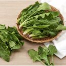 제일보청기 이미지