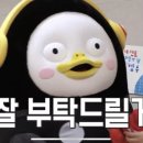 돌아온돼지우리