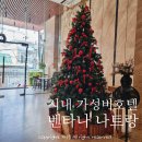 사직세탁소 | [나트랑] 내돈내산 시내근처 벤타나호텔 루프탑 수영장 매일 다른 조식메뉴 가성비 굿